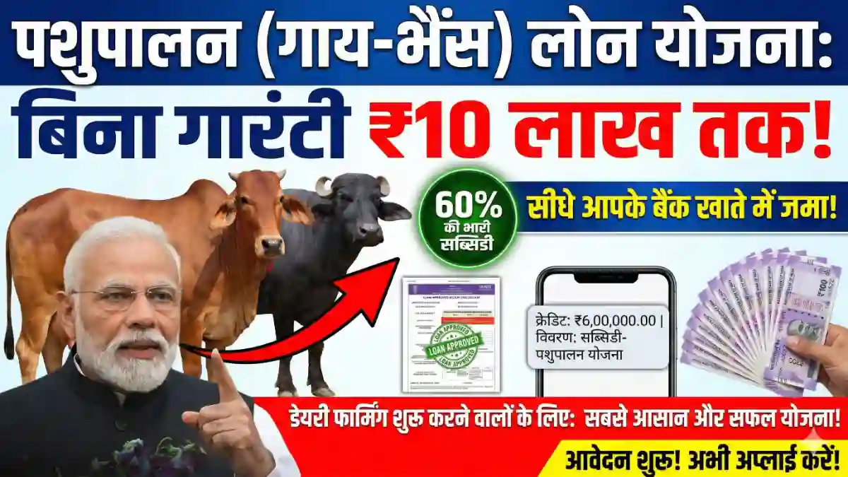 pashupalan loan update